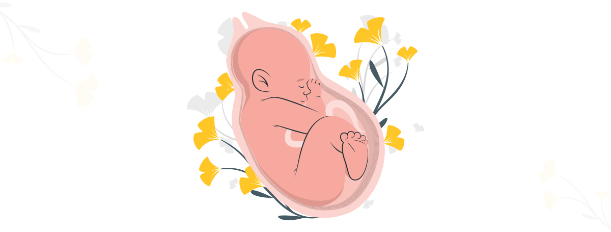 2 months pregnant